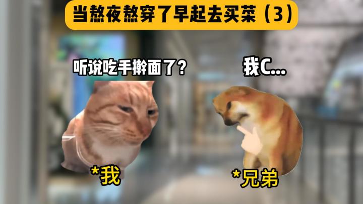 当我和兄弟熬完夜早起去买菜(3)截图