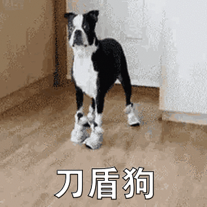 动态图片 16