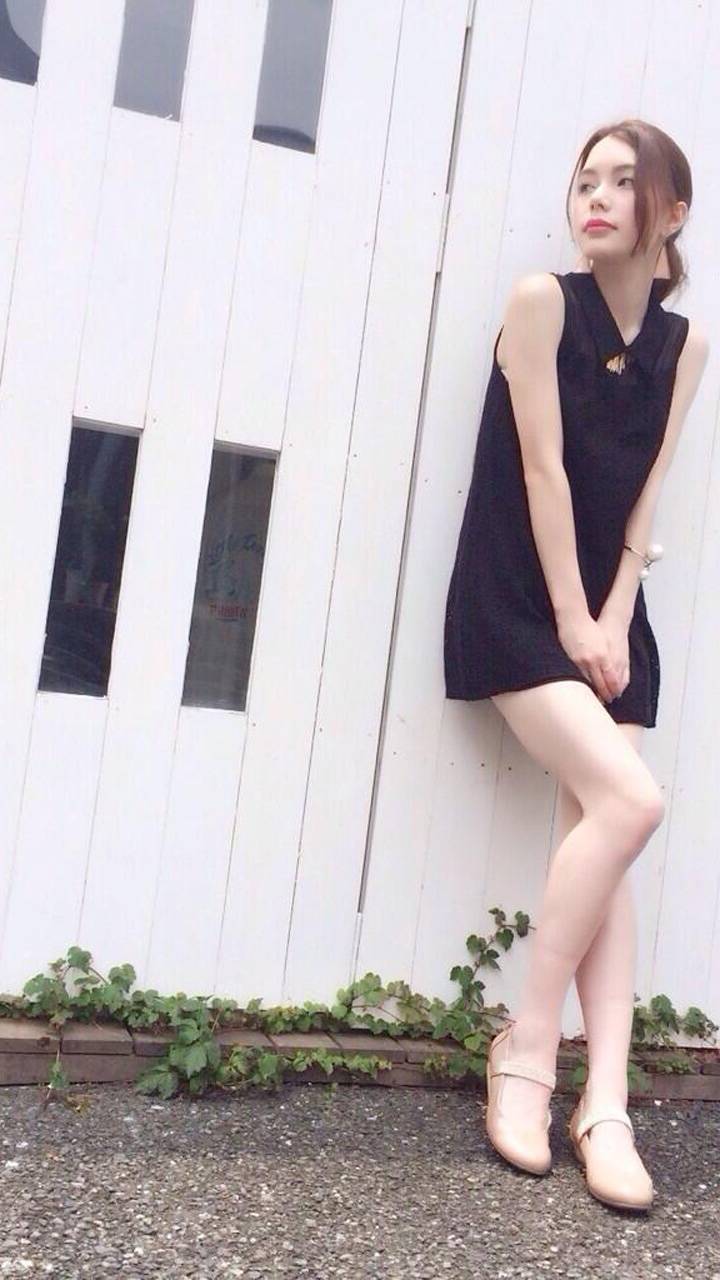 关于动物重伤和走失的问题 1