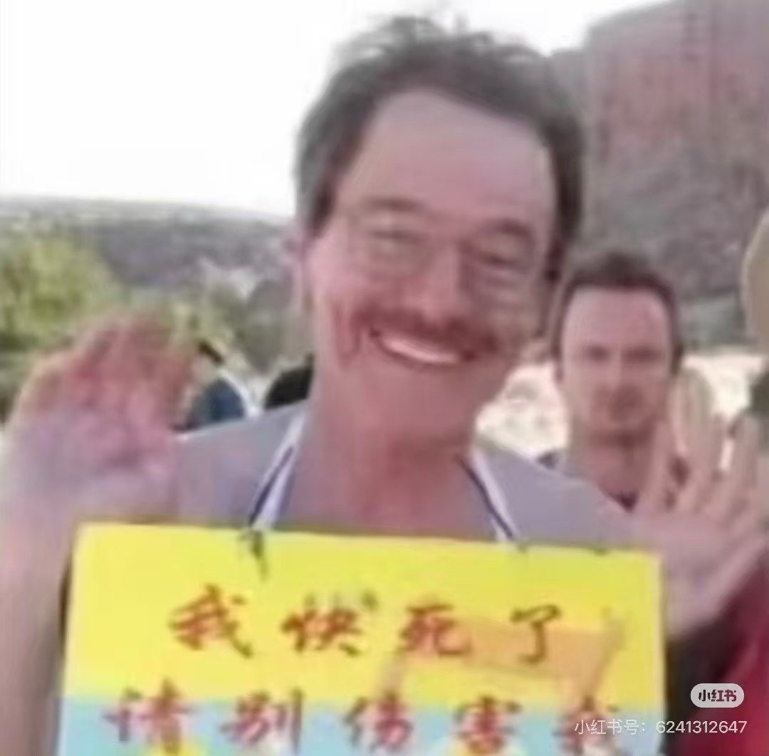 今天的编辑好懒 1