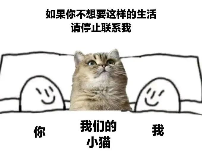 今日份梗图分享 1