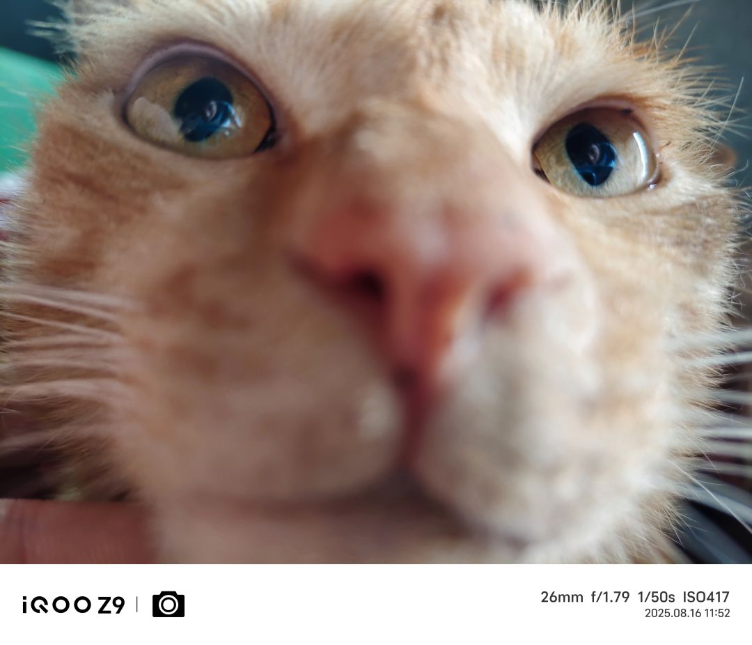 猫猫狗狗,顺便问问陀螺仪辅瞄意见 2