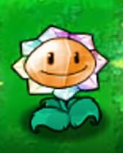 新卡发布!杂交版再现两种新型向日葵 2
