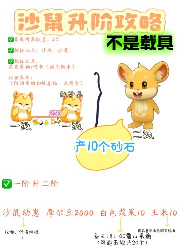 普通灵兽【沙鼠】养成攻略（详细版）