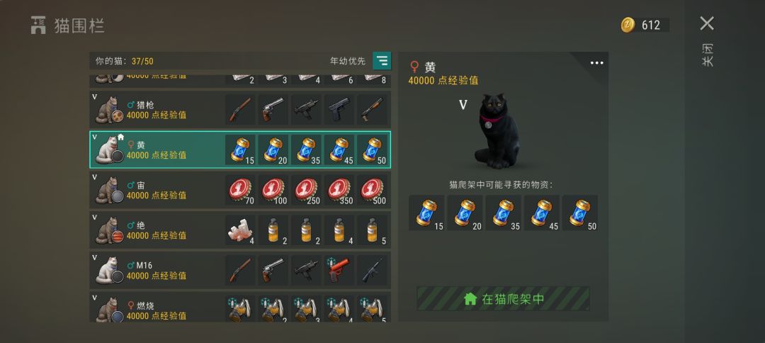 我即是猫猫王😰😡🙃😎 3