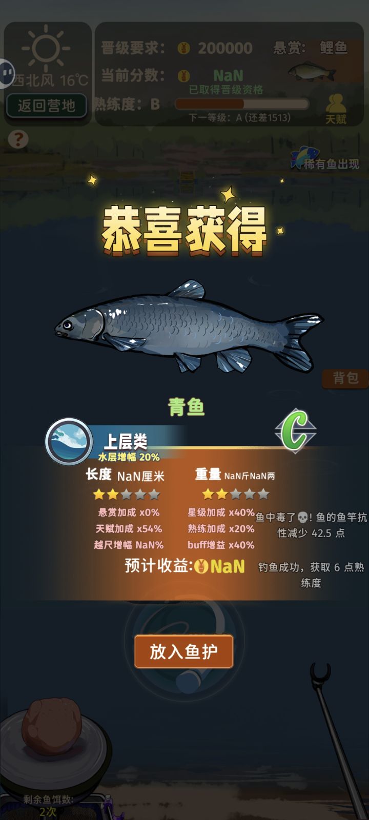 鱼币bug了截图