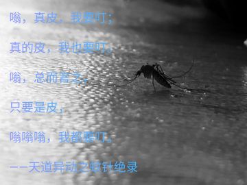 结档了，给弟子们写个传记