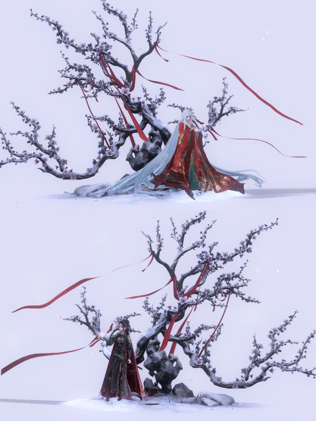 我与梅花两头白 3