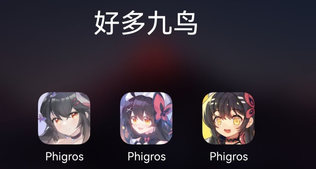目前四种版本的九鸟 1