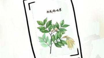 朋友们，我计数菌又回来了！