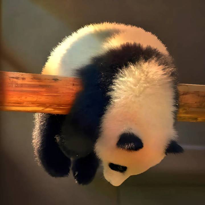 有能用的全物品存档吗截图