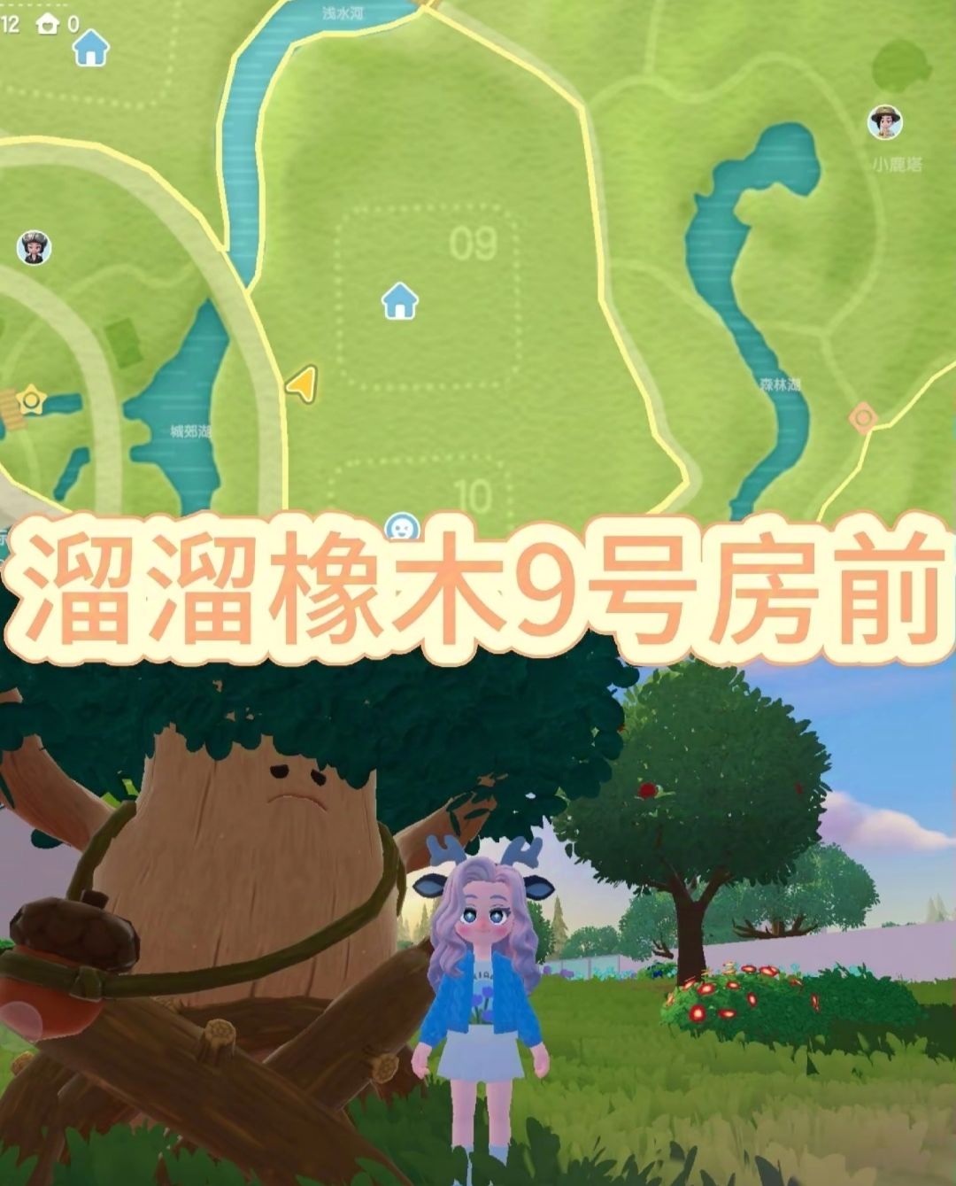 [12月15日]今天日常 3
