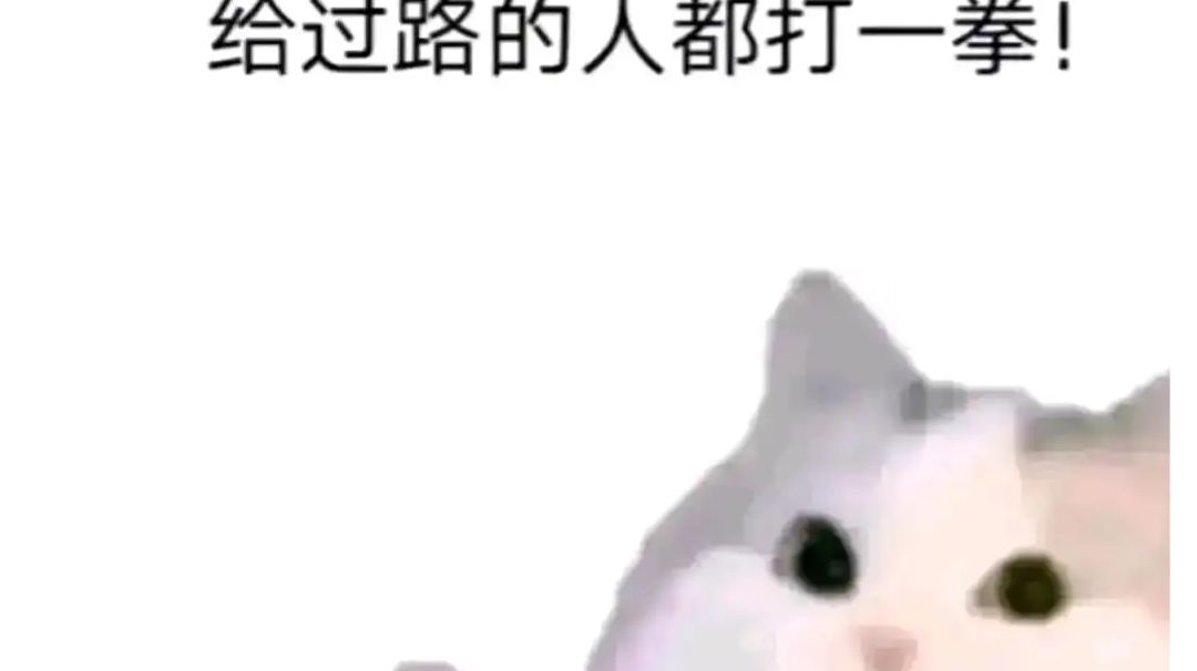video-3243038