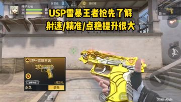 USP雷暴王者抢先了解，射速、精准和点稳提升很大！