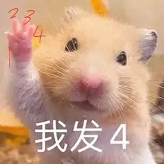 我发四,真的很期待。oh my god。 1