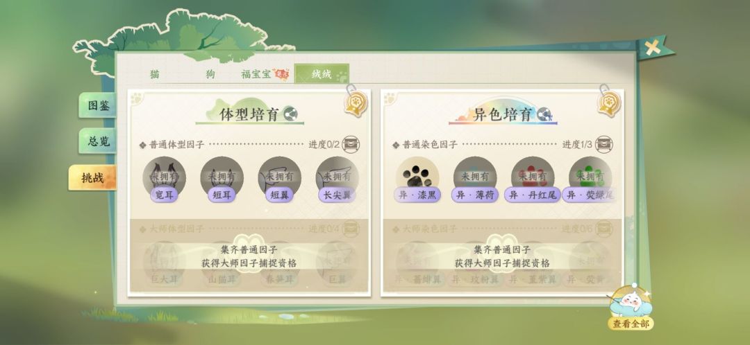 动态图片 4