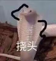 看了一下更新的感受