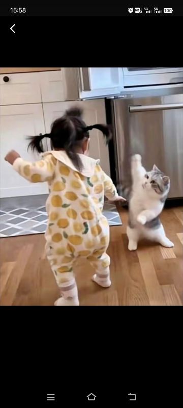 萌新避坑小课堂