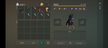 发现一个有趣现象但不确定