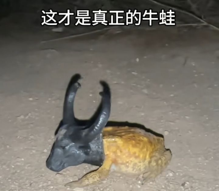 精彩截图分享 2025-4-14截图