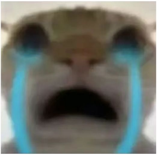 不会只有我一个人蒙在鼓里吧 1