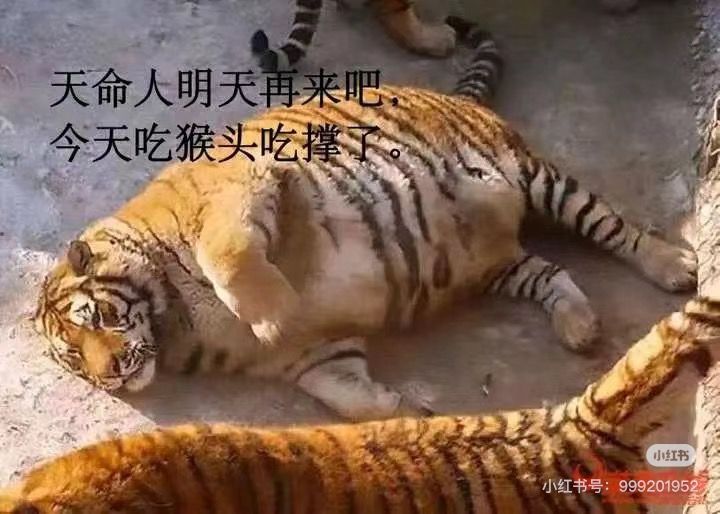黑神话悟空截图