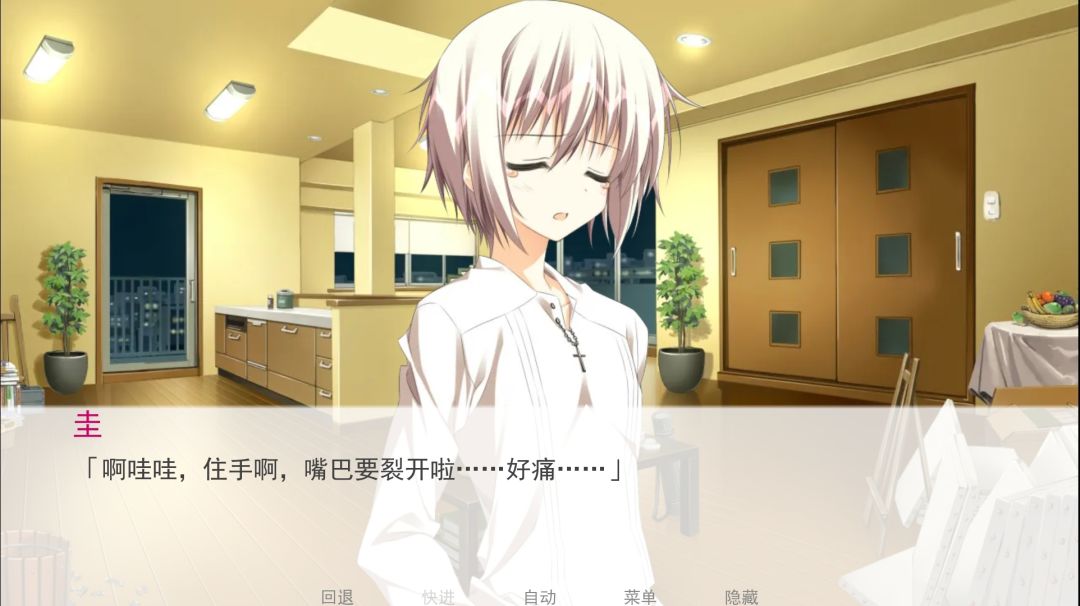 夏目圭 11