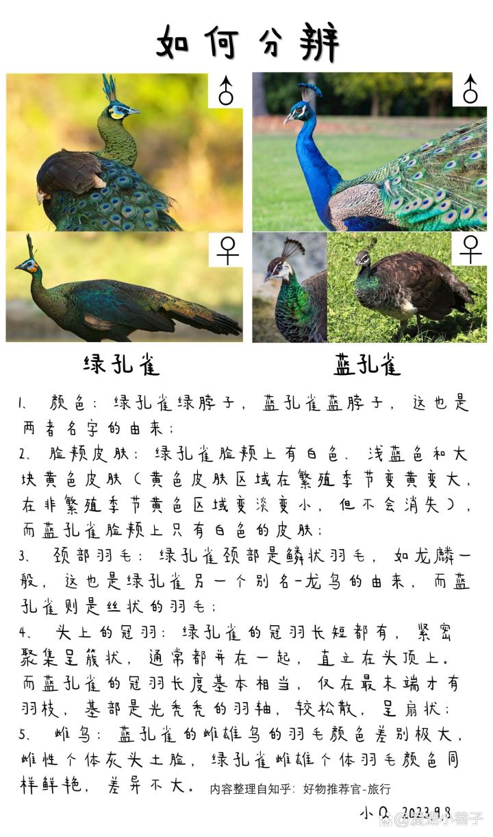 你先把网友指出的错图改掉吧截图