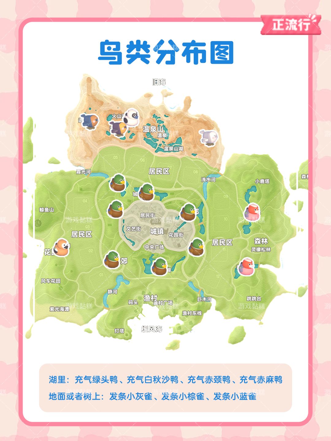 心动小镇稚趣园鸟图鉴 位置｜天气｜时间 3