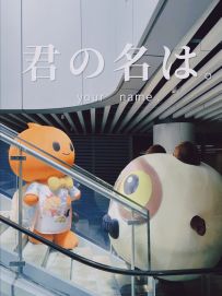 【花花执镜 暖心巨制】你的名字是…？