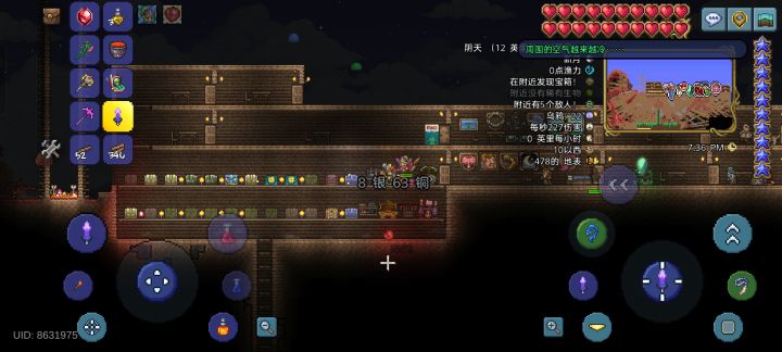 我正在挖地窖截图