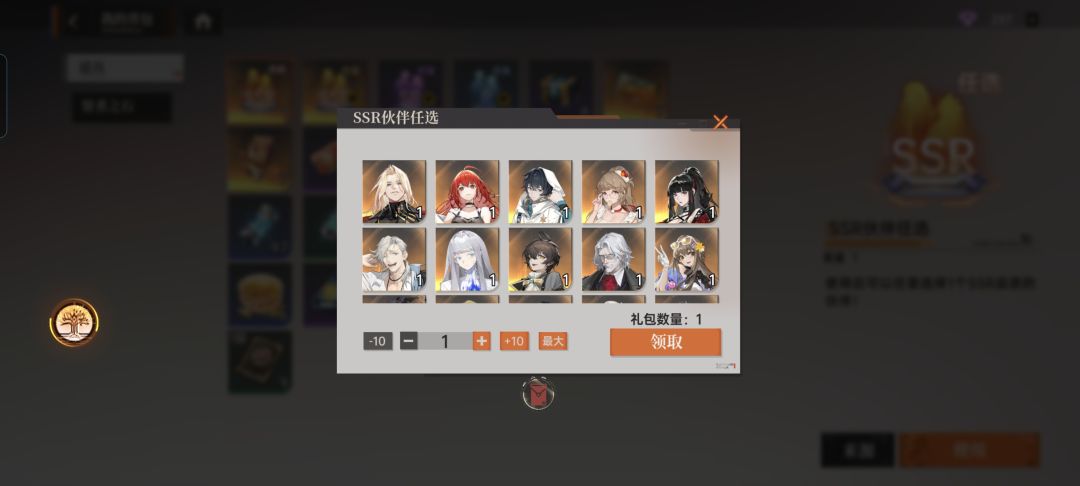 求问大佬们这个SSR自选该咋选 2