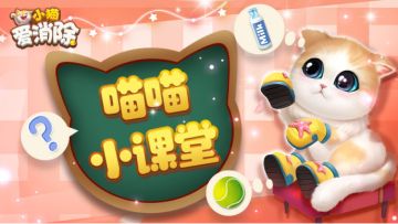 【猫咪小知识】虎头虎脑的美短“小脑斧”