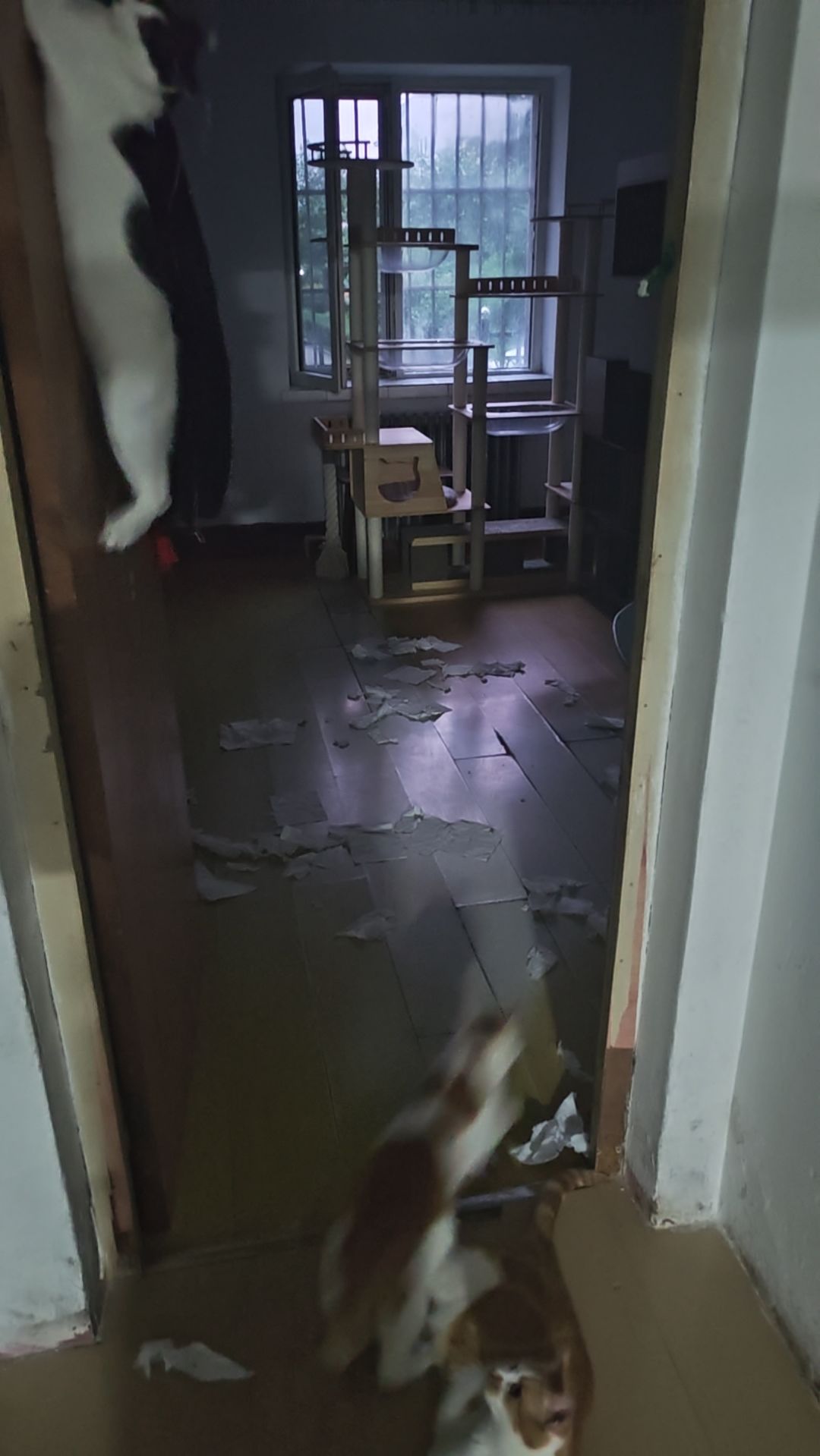 关于广告 1