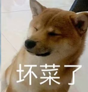 前前前前、前期攻略(第一版) 1