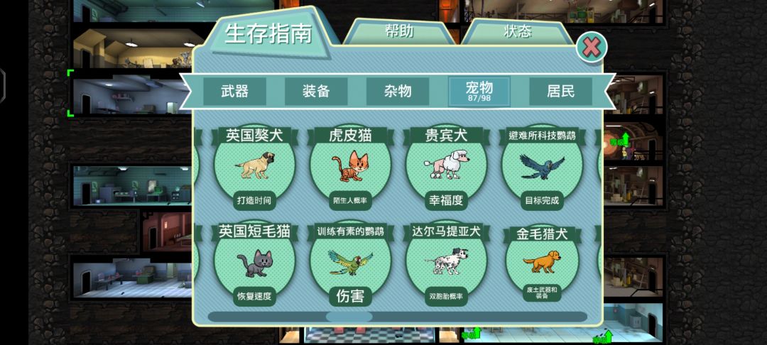 宠物普通款集齐 6