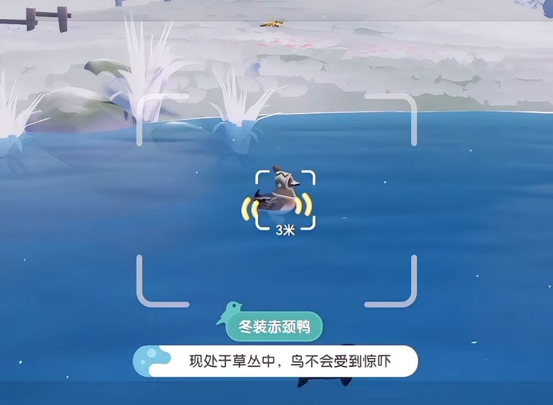 冰雪季5星鸟拍摄攻略截图