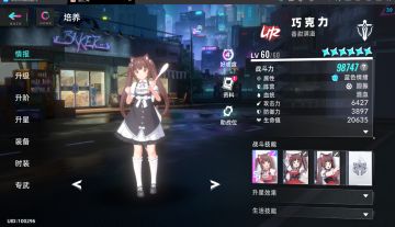 猫之城新猫评价/新活动打法