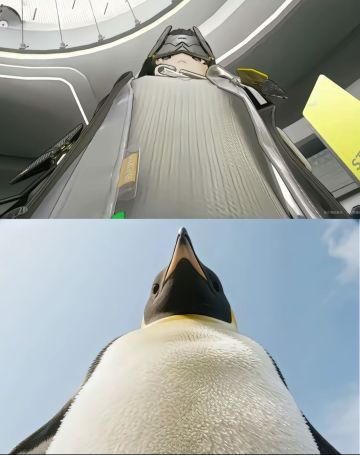 在线想看大家的终末地表情包！