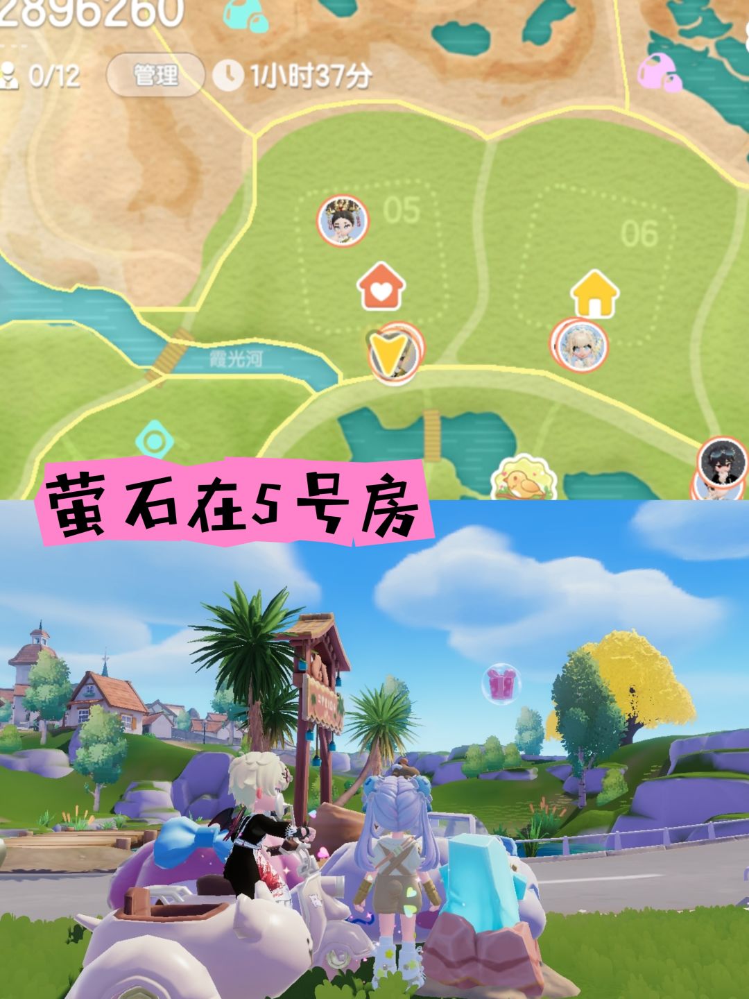 动态图片 4