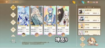 坤岳9水月9自用配队