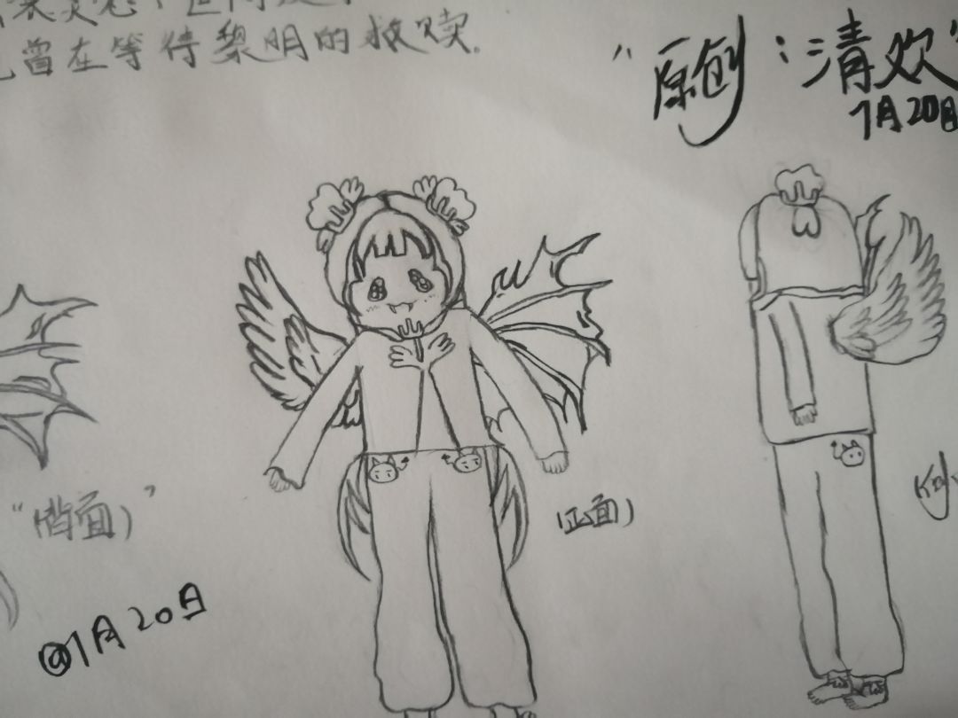 置顶🦋 5