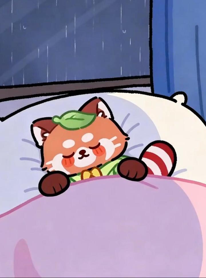 🌧️听,是雨声还是小熊猫的呼吸声截图