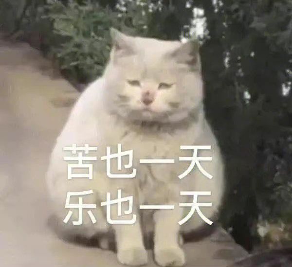 异常骑士剑特效改了,还挺炫截图