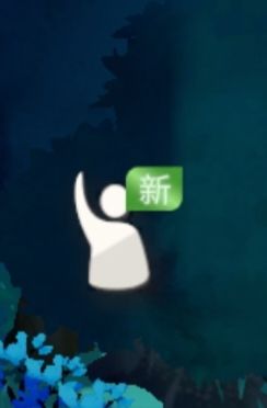 我就想问这个新是什么?截图