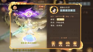 渠道服连冠两届赛事的【挂机小王子】，竟手搓了十多套极品装备！