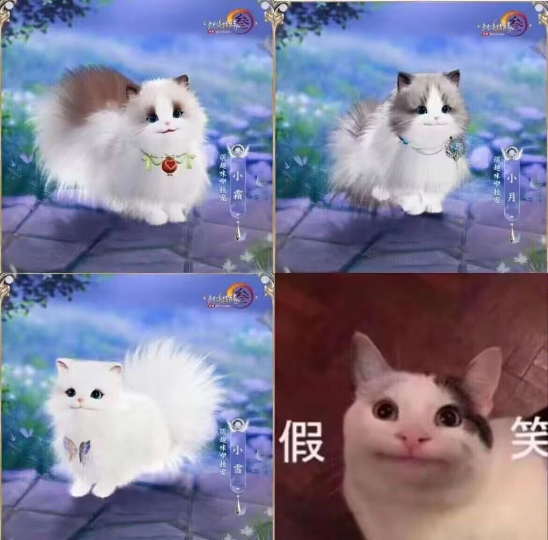 这猫职业假笑 1