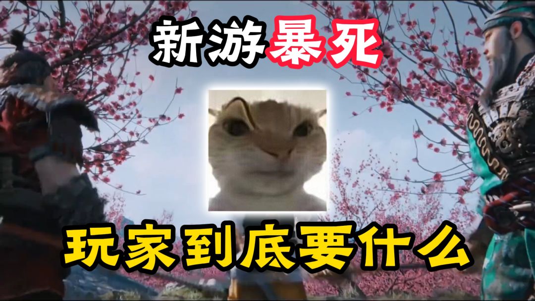 video-5725524