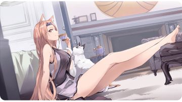 梦的第七章幻境回廊（也称秘境）进阶攻略，有手就行（跳过流）