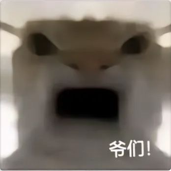 我是爷们! 2